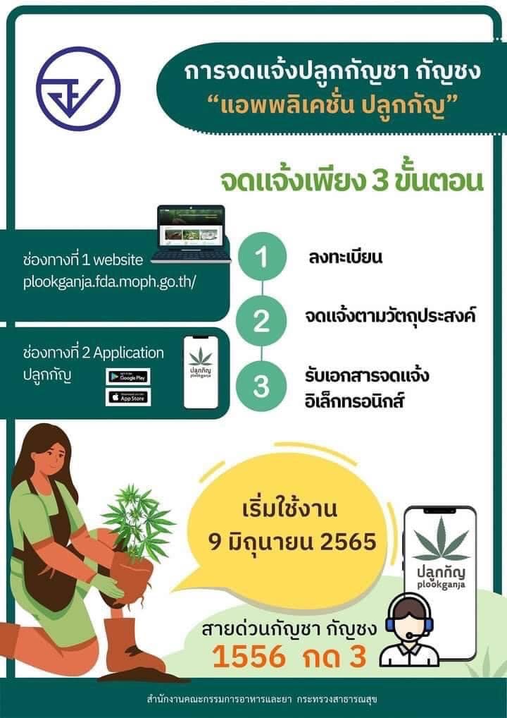 287283227 4594254674011072 2496130678817016569 n