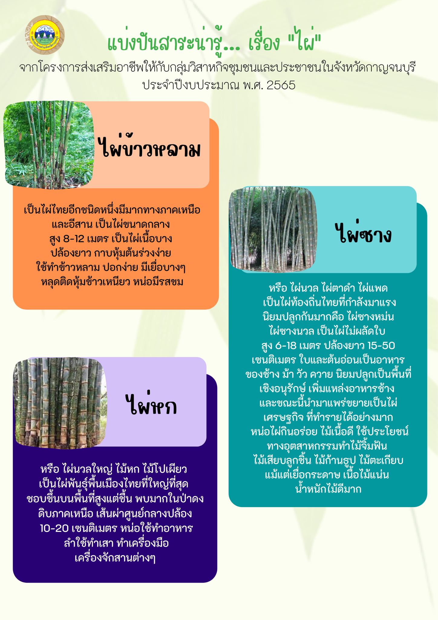 289533288 4621623117940894 8164146635031300293 n