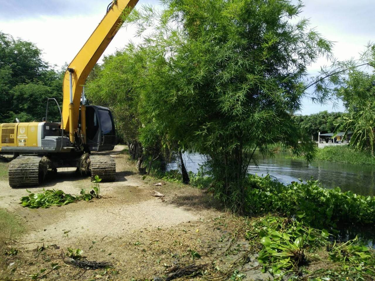 timeline 20200624 152027