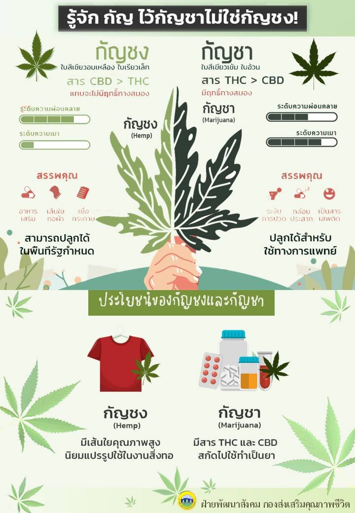 รจกกญไว กญชาไมใชกญชง