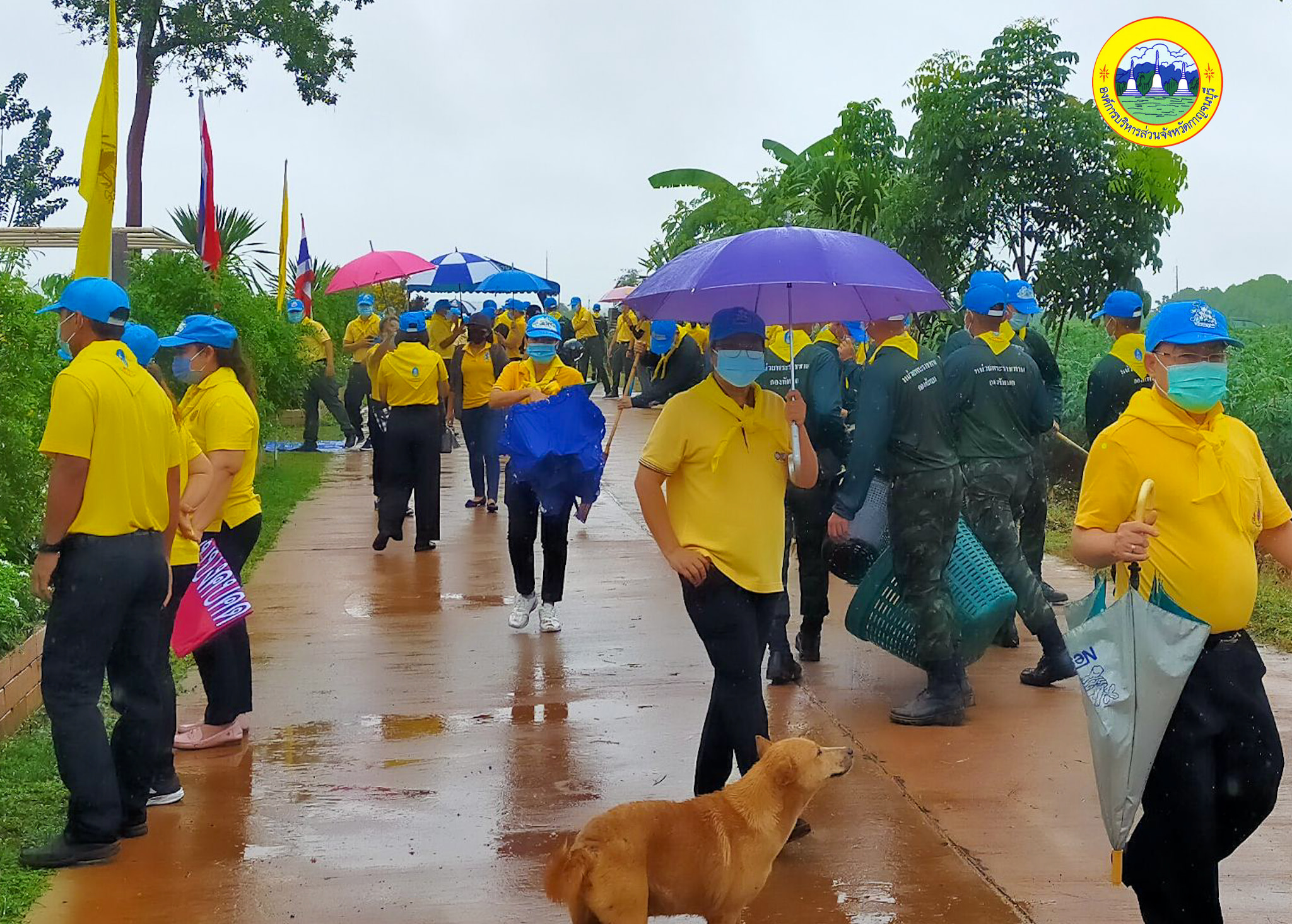 215332176 4174999935947591 526474383447261767 n