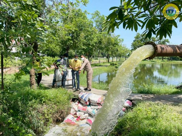 188198747 4023701277744125 1365267731804093143 n