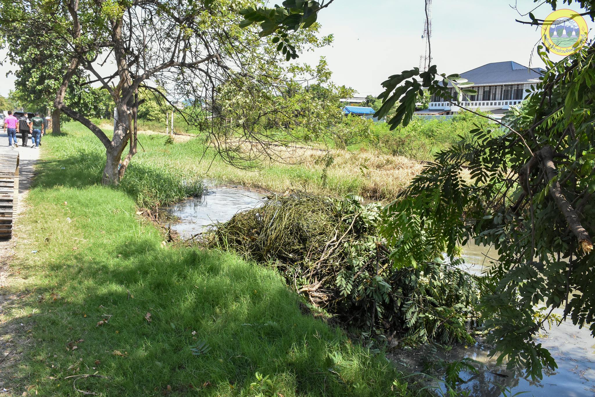 185965695 4024985980948988 4844171960361661249 n