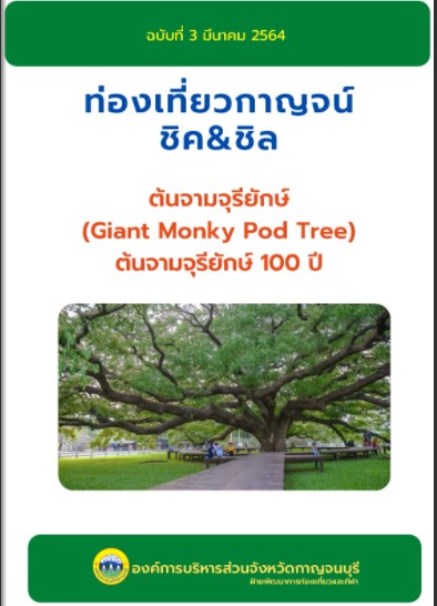 Screenshot 2021 03 02 081949