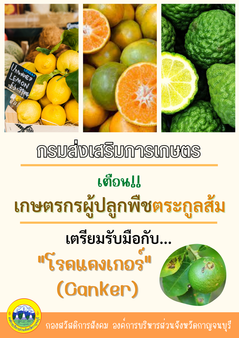 กรมสงเสรมการเกษตร resize